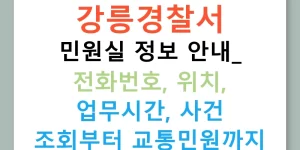 강릉경찰서 민원실 정보 안내: 전화번호, 위치, 업무시간, 사건 조회부터 교통민원까지