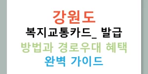 강원도 복지교통카드: 발급 방법과 경로우대 혜택 완벽 가이드