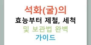 석화(굴)의 효능부터 제철, 세척 및 보관법 완벽 가이드