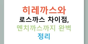 히레까스와 로스까스 차이점, 멘치까스까지 완벽 정리