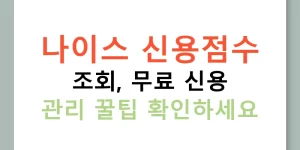 나이스 신용점수 조회, 무료 신용 관리 꿀팁 확인하세요