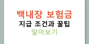 백내장 보험금 지급 조건과 꿀팁 알아보기