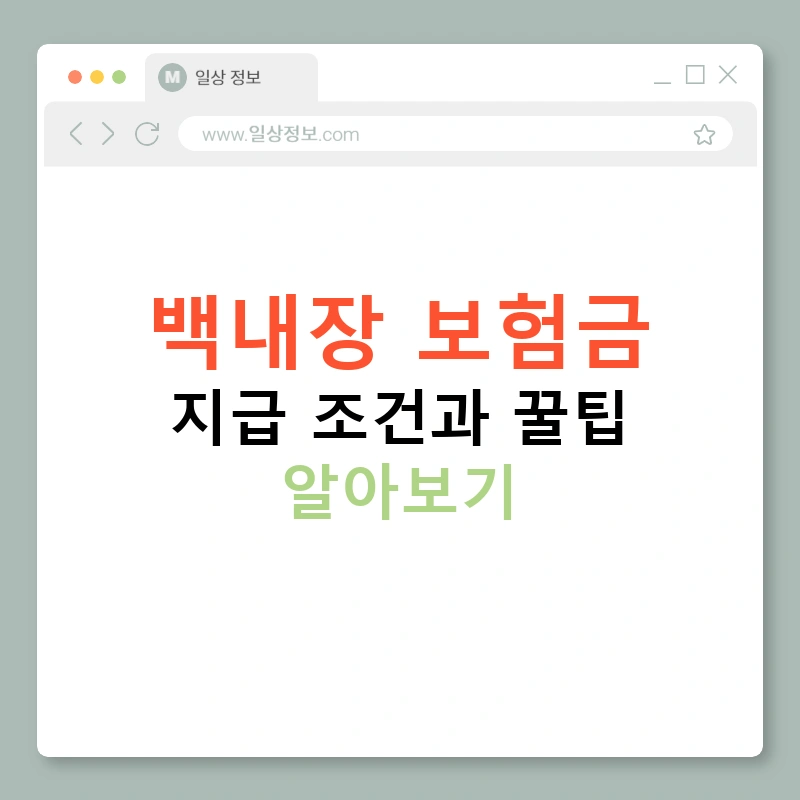 백내장 보험금 지급 조건과 꿀팁 알아보기