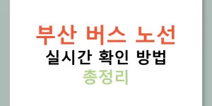 부산 버스 노선 실시간 확인 방법 총정리