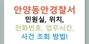 안양동안경찰서 민원실, 위치, 전화번호, 업무시간, 사건 조회 방법!