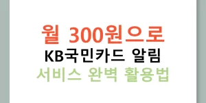 월 300원으로 KB국민카드 알림 서비스 완벽 활용법