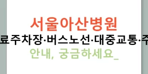 서울아산병원 주차·무료주차장·버스노선·대중교통·주차요금 안내, 궁금하세요?