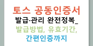 토스 공동인증서 발급·관리 완전정복: 발급방법, 유효기간, 간편인증까지
