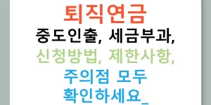 퇴직연금 중도인출, 세금부과, 신청방법, 제한사항, 주의점 모두 확인하세요!