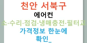 천안 서북구 에어컨 청소·수리·점검·냉매충전·필터교체 가격정보 한눈에 확인!